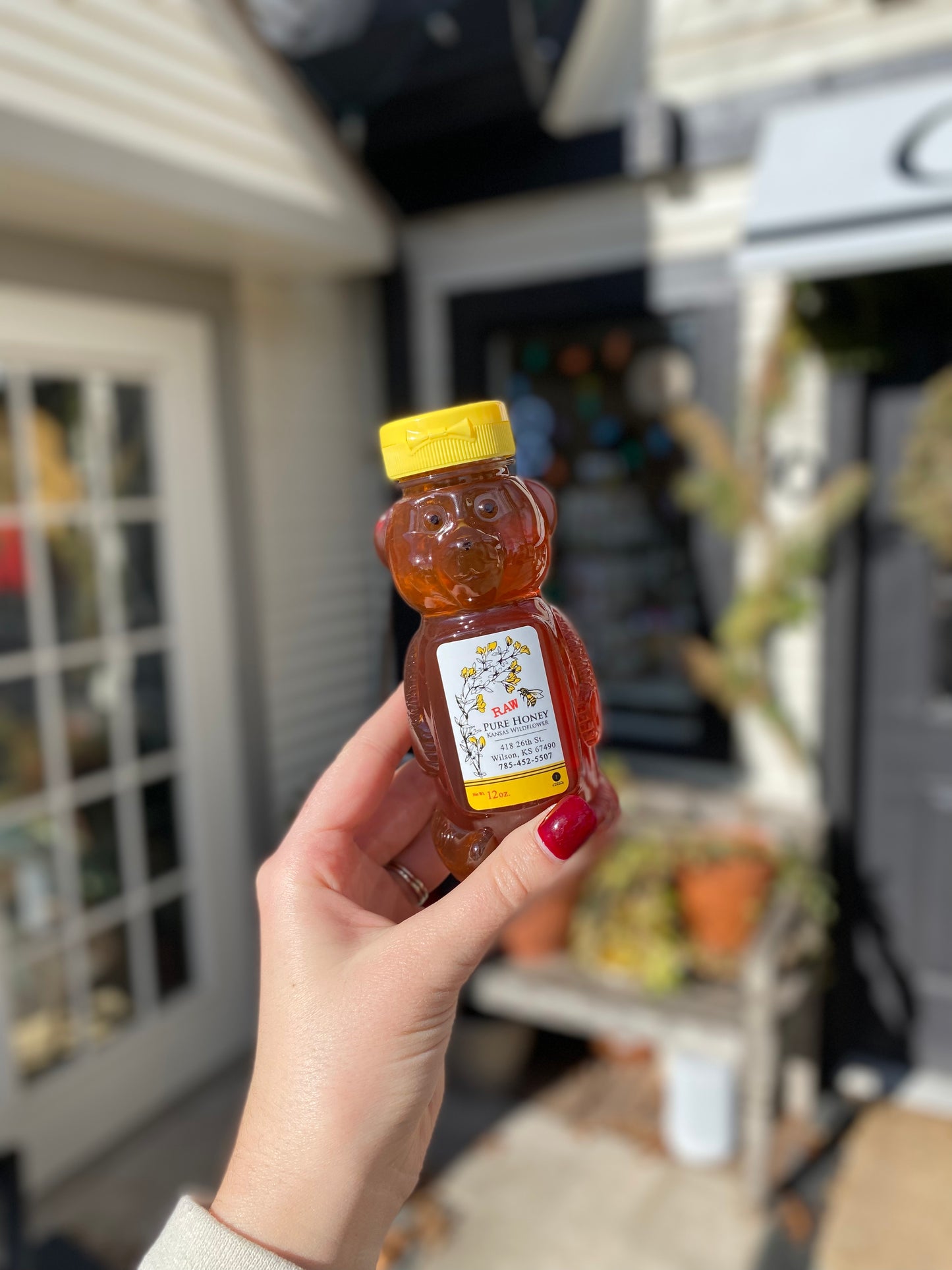 Honey Bear Classic Snap Top Honey 12oz