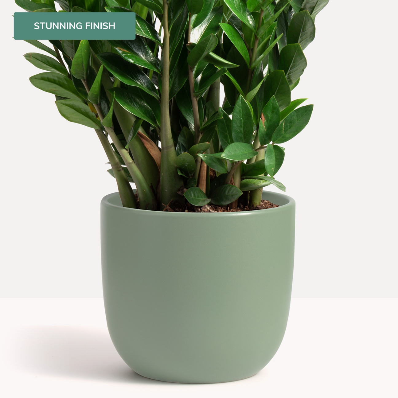 Contour Ceramic Planter