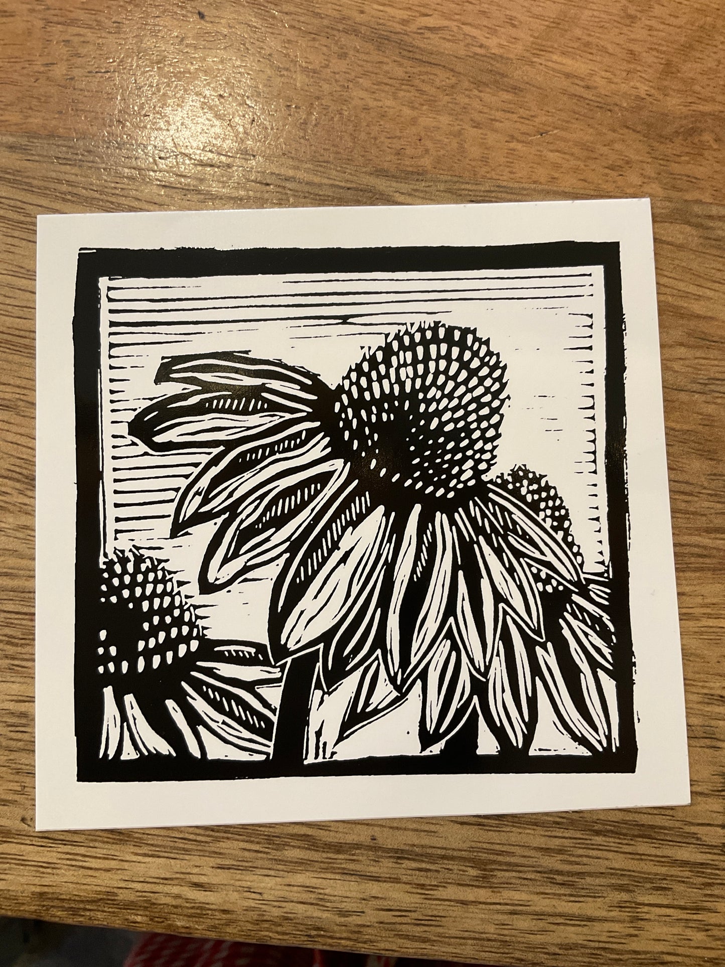 Coneflower Sticker