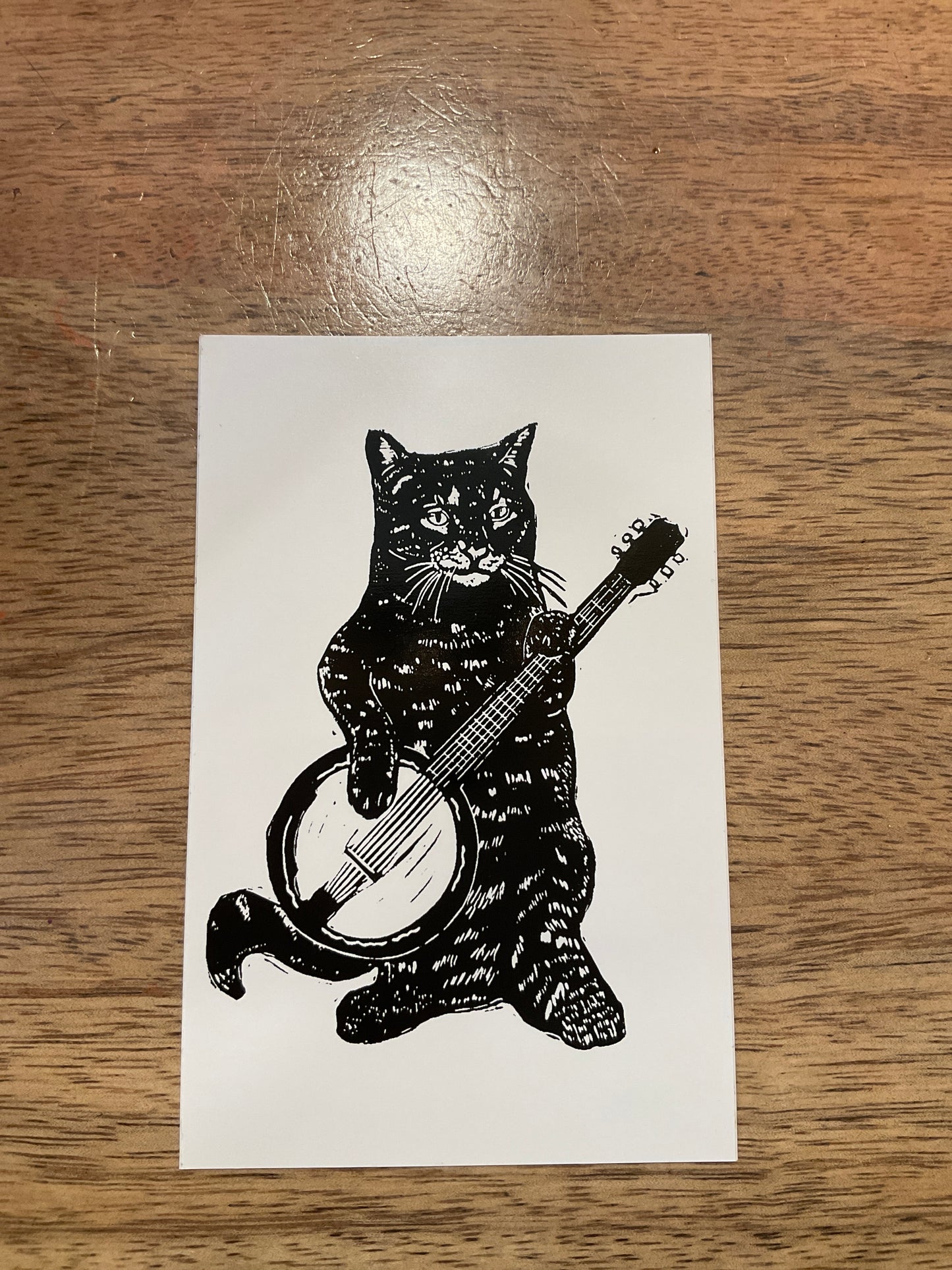 Cat Banjo Sticker