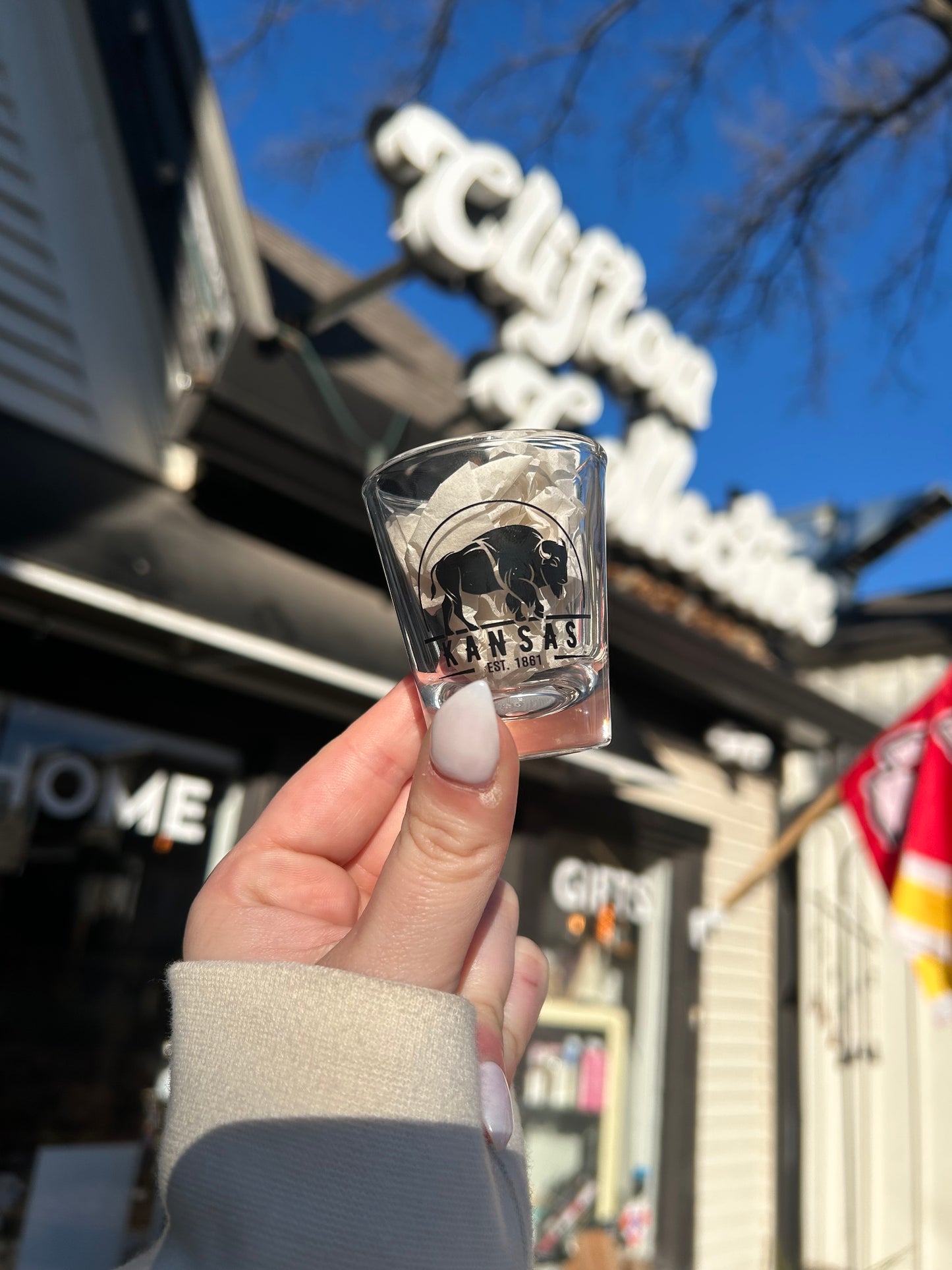 Buffalo Arch Shot Glasses