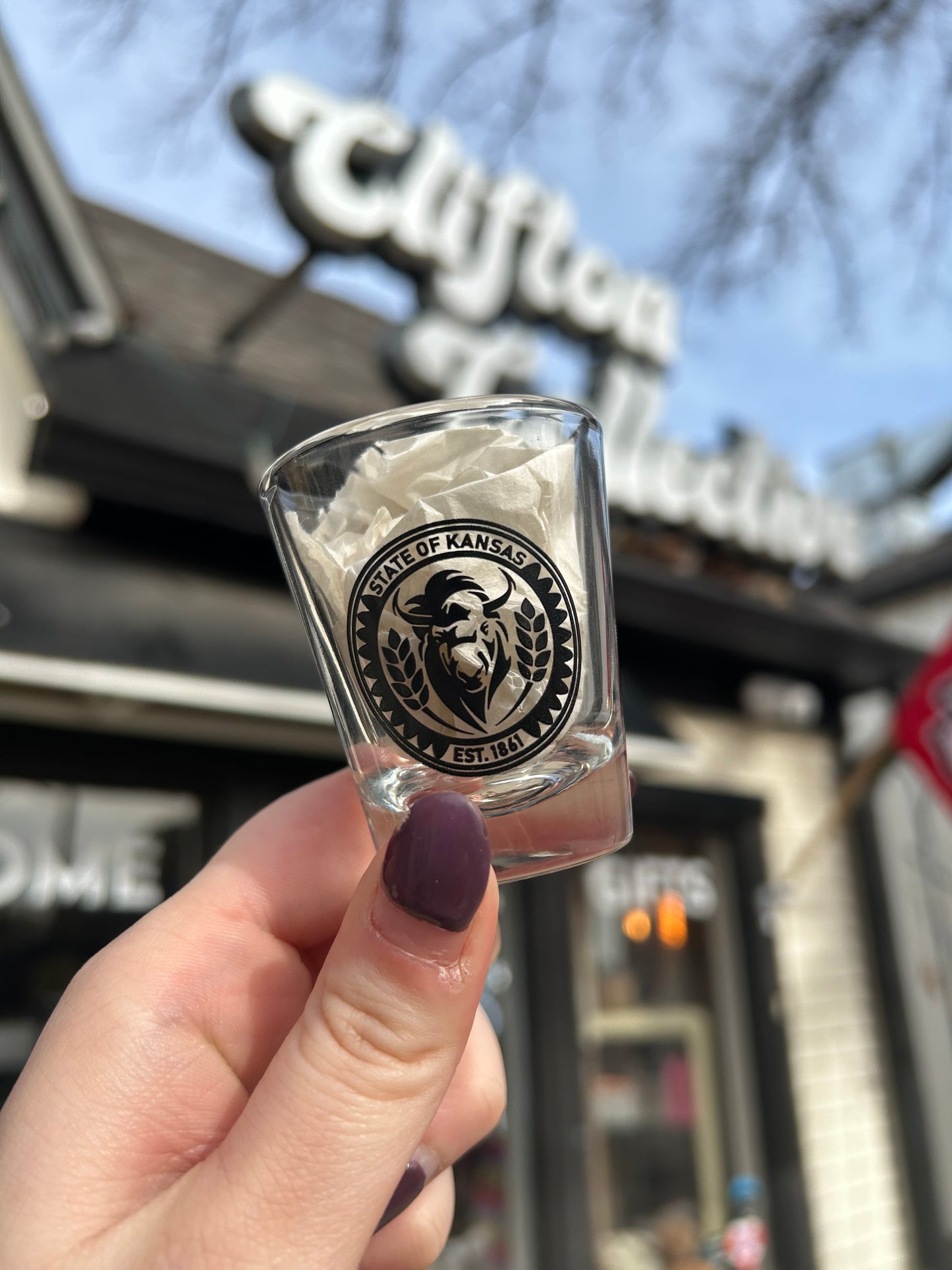 Bison Kansas Shot Glass