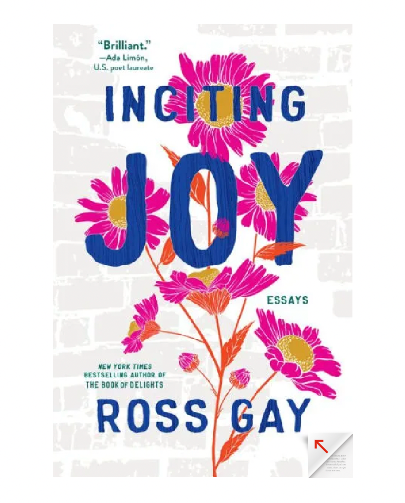 Load image into Gallery viewer, Inciting Joy by Ross Gay

