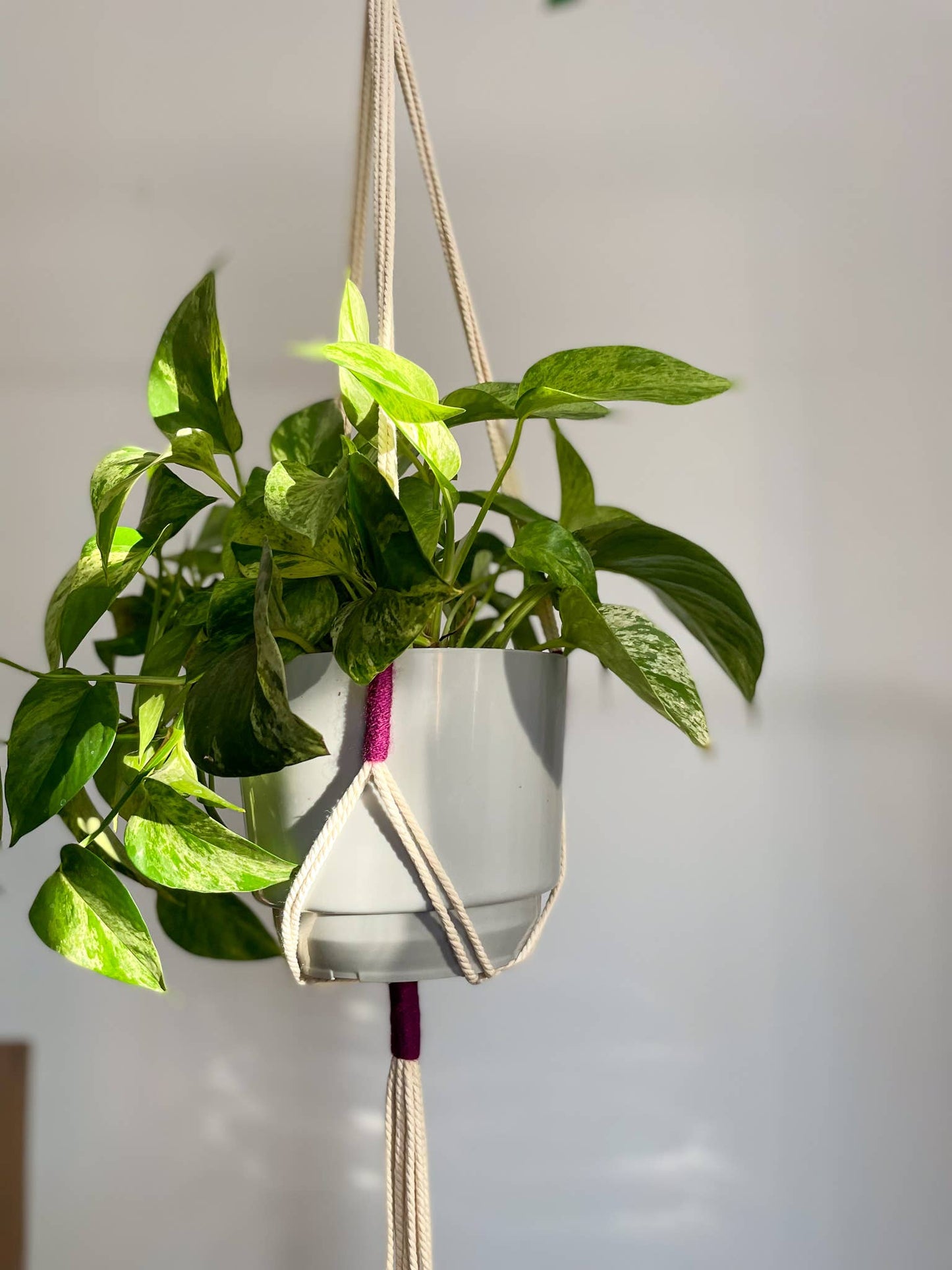 Load image into Gallery viewer, Color-Blocked Macrame Plant Hanger
