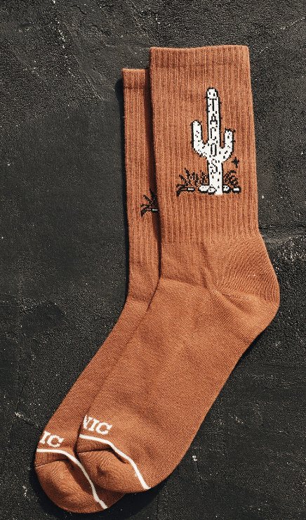Cactus Tacos Socks
